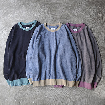 Color Block Raglan Sleeve Sweat Shirt